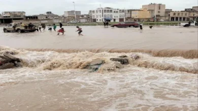 9ac7b2a4 952f 4c18 9abe 995c57bd286a