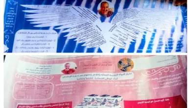 Img ٢٠٢٦٠٣٠٩ ١١٤٦٢٦ Collage