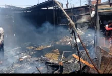 Img ٢٠٢٦٠٣٣١ ١٢٤٣٣٥