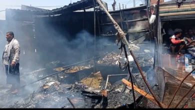 Img ٢٠٢٦٠٣٣١ ١٢٤٣٣٥