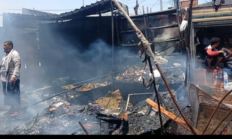 Img ٢٠٢٦٠٣٣١ ١٢٤٣٣٥