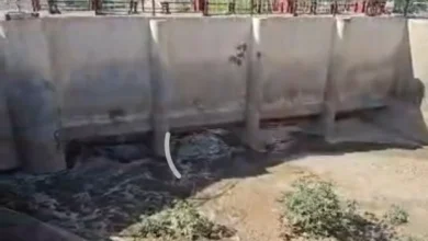 Screenshot ٢٠٢٦ ٠٣ ٢٨ ٢٢ ١٤ ٢٣ ٣٩٥ Com.whatsapp Edit