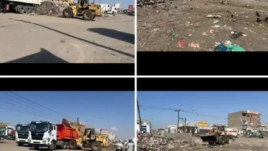 Screenshot ٢٠٢٦ ٠٣ ٣١ ٢٢ ٣١ ٣٣ ٩٦٣ Com.whatsapp Edit