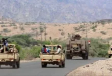 D236577e 65f5 4097 91ef Db94744a966f