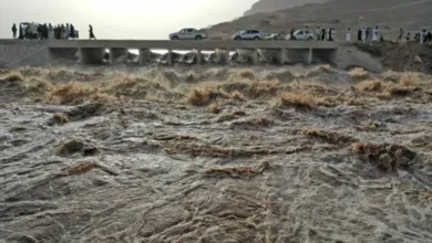 Eee41884 7b9b 4d8e Be4b D7cfb526765c