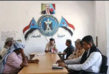 69d3b403303382.01737214