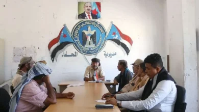 69d3b403303382.01737214