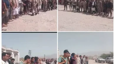 Fb Img 1775138097128