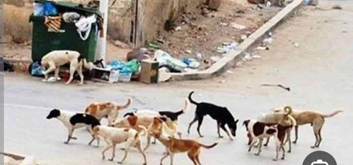 Fb Img 1775841422555