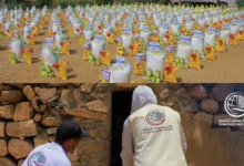 Img ٢٠٢٦٠٤١٤ ١٨٢٩٣٥