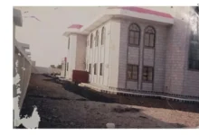 Img ٢٠٢٦٠٤٢٥ ١٨٤٧١٨