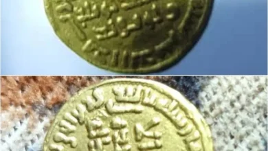 Puzzle ٢٠٢٦٠٤١٨ ٠٠١٢٥٣