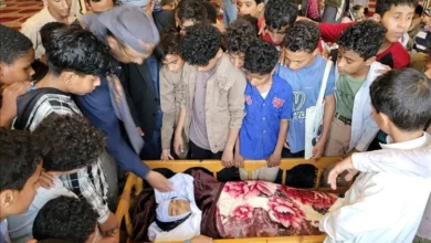 B6235604 5428 4c94 B48d 664ecf81d513