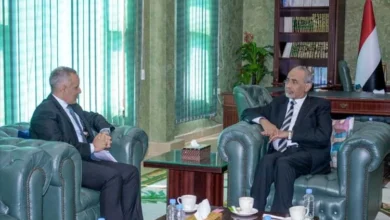 Fea3d911 3069 4dd5 B980 35a9a0264fec