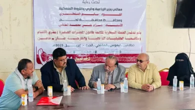 فيسبوك Creation 807918174