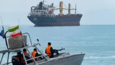 البحرية الإيرانية مضيق هرمز