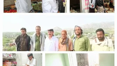 Photo ٢٠٢٦ ٠٨ ١٥ ٠٥ ٣٥ ٣٨