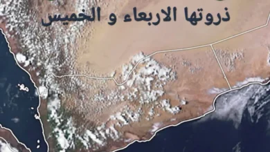70781788885532