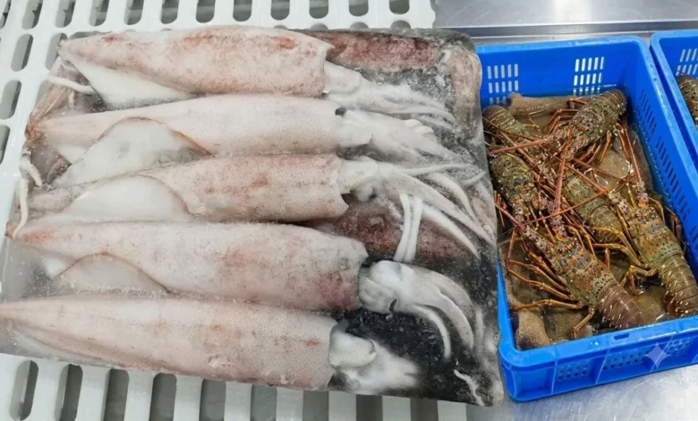 Img 20260903 Wa0002