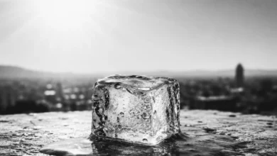 File 000000001a388211aedac82b39577b5a