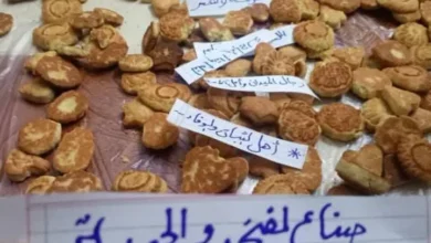 صانعات