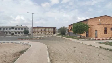 صورة الكلية 1